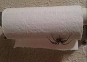 Under Your Toilet Paper