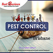 Best Termite and pest control inspections and treatment solutions Brisbane, Ipswich QLD
