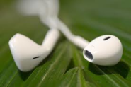 Apple EarPods with Remote and Mic.