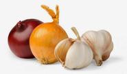 Important things for fresh garlic by exporters