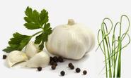 Healthy dry garlic tips from exporters