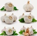 How garlic exporters business growing fast?