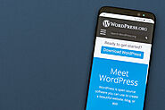 Questions That Help To Hire A Wordpress Developer - THE RECRUITMENTHUB