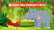 Elephant And The Ant Story • Bedtime Stories