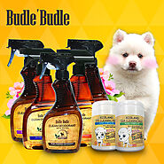 Giải mã sức hút của thương hiệu Budle and Budle Hàn Quốc
