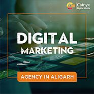 Best Digital Marketing Agency In Aligarh