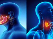 Journal of ENT / Otolaryngology, Head & Neck Surgery Case Reports - Clinical Images and Case Reports Journal