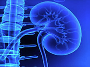 Journal of Nephrology and Renal Case Reports - Clinical Images and Case Reports Journal