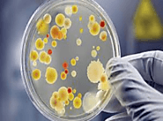 Journal of Microbiology and Biotechnology Case Reports - Clinical Images and Case Reports Journal