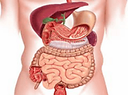 Journal of Gastroenterology and Hepatology Case Reports - Clinical Images and Case Reports Journal