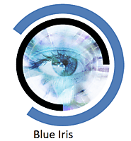 Blue Iris Crack 5.3.1.2 + License Keygen Torrent Latest 2020