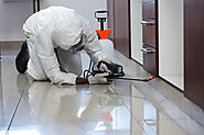 Pest Control In Manchester | Business Listing Pest Controllers
