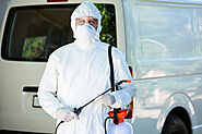 Pest Controllers In Bristol | Business Directory Pest Control