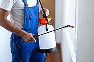 Pest Control In Bournemouth | Pest Controllers In Bournemouth