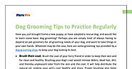 Dog Grooming Tips to Practice Regularly