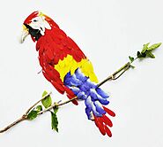 رنگ پر پرندگان؛ ایده‌ای جالب و ساده برای دکور خانه