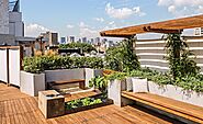 How to Set up a Small Useful Garden on the Rooftop - TrendyHome