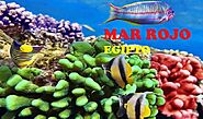 Marsa Alam Excursiones | Excursiones En Marsa Alam | Marsa Alam Mar Rojo