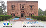 DNA Test in Ludhiana