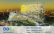 DNA Test in Noida