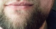 The Best Type of Beard for Your Face