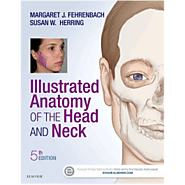 Shop Now! Illustrated Anatomy of the Head and Neck, 5th Edition