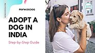 How To Adopt A Dog In India - Monkoodog