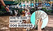 Top 12 Ways To Make Money From The Dog Industry - Monkoodog