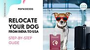 How To Relocate Your Dog From India To The USA - Monkoodog