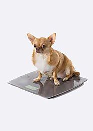 Puppy Weight Calculator - Monkoodog