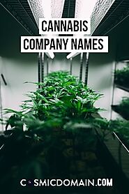 Cannabis company names