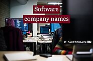 Software company names