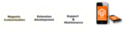 Compare experience and performance of the Magento development Company