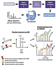 Protein Post-translational Modification Analysis - Creative Proteomics