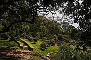 Beautiful Royal Botanical Gardens