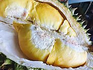 Durian