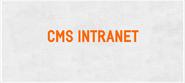 How to Choose the best Intranet CMS?