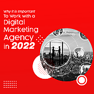 Reasons To Work With A Digital Marketing Agency in 2022