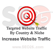 Buy Website Traffic | Targeted High Quality, Guaranteed Website Visitors