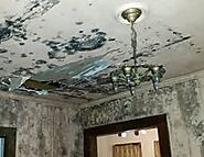MOLD TESTING SERVICES IN CHESTERTON IN