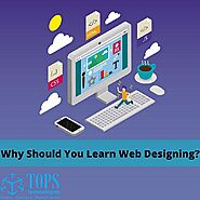 Why Should You Learn Web Designing?