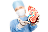 kidneytransplant | user details | folkd.com