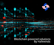 Blockchain Powered Solutions By Halkwinds
