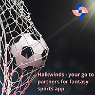 Fantasy sports application- the new buzz in the town!! ✨