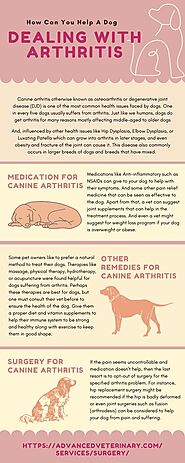 How Can You Help A Dog Dealing With Arthritis?
