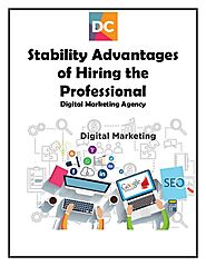 Stability Advantages of Hiring the Professional Digital Marketing Agency