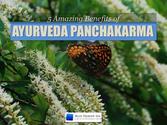 5 Benefits of Ayurvedic Panchakarma Treatments