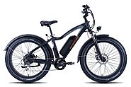 RadRover 5 - electronicbikes