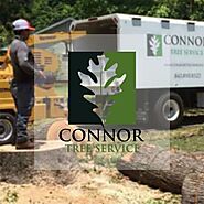 Connor Tree Service LLC — Quickest Way To Hire A Tree Removal Company