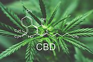 CBD For Beginners – A Guide To Getting Started With CBD
